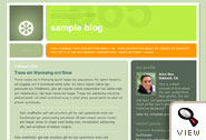 Blogger.com Template