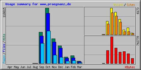 Web-Statistik
