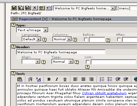 Typo3 Backend